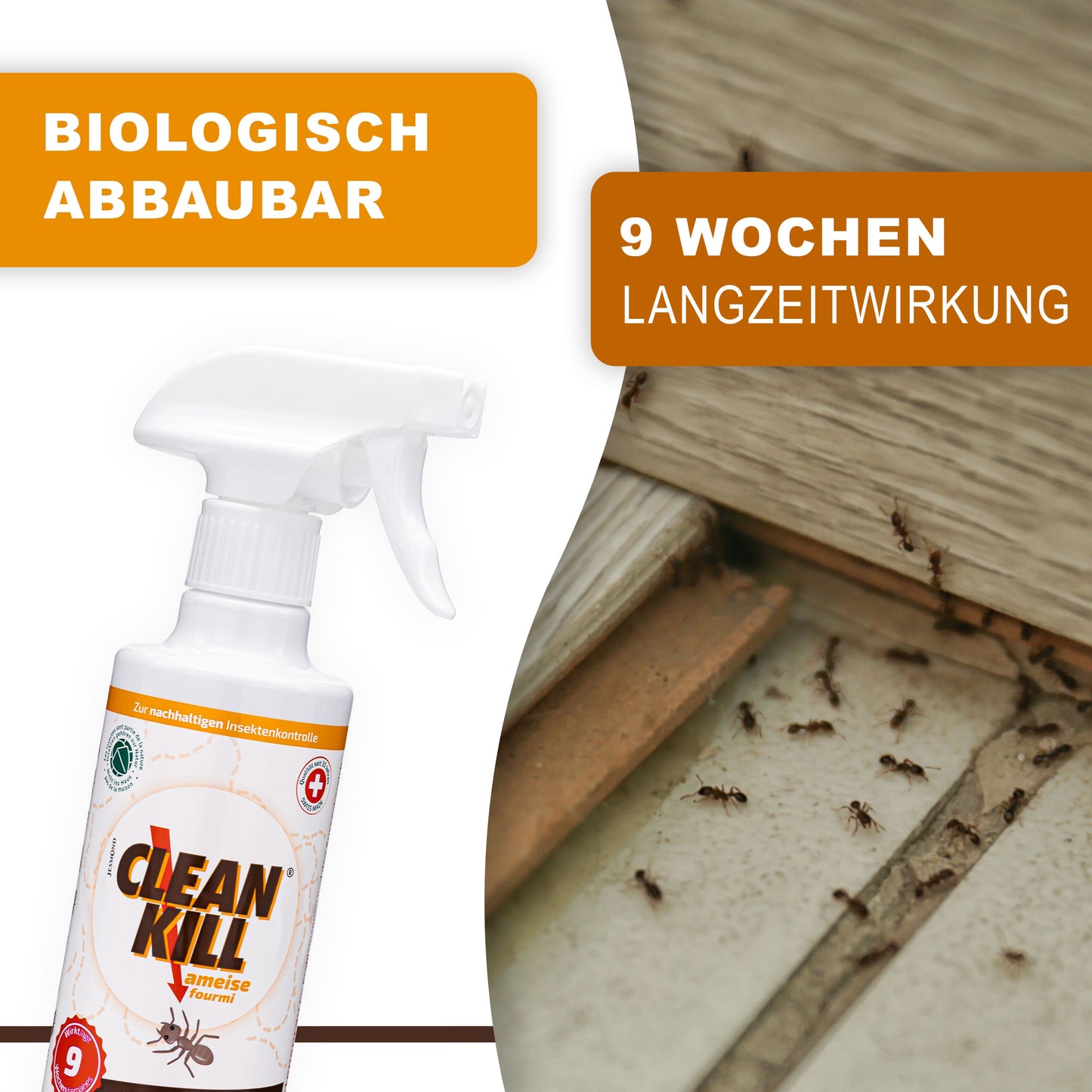 CLEAN KILL Ameisenspray für innen und außen